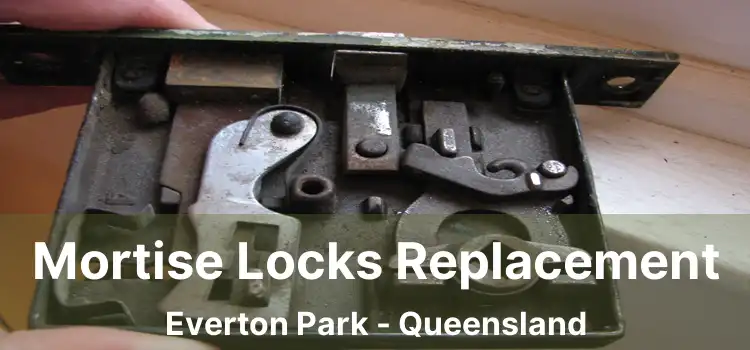 Mortise Locks Replacement Everton Park - Queensland