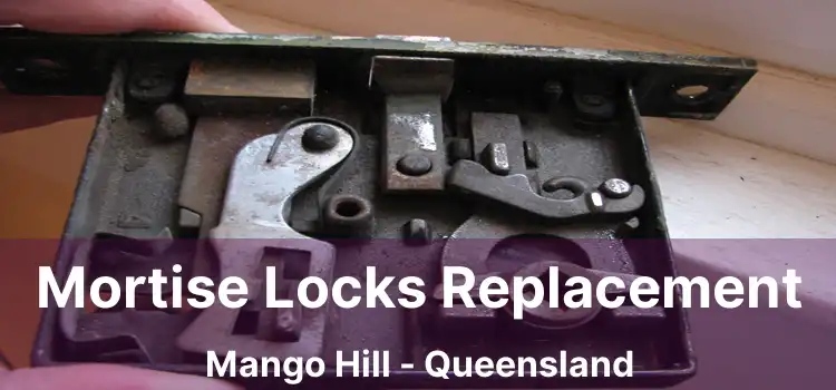 Mortise Locks Replacement Mango Hill - Queensland