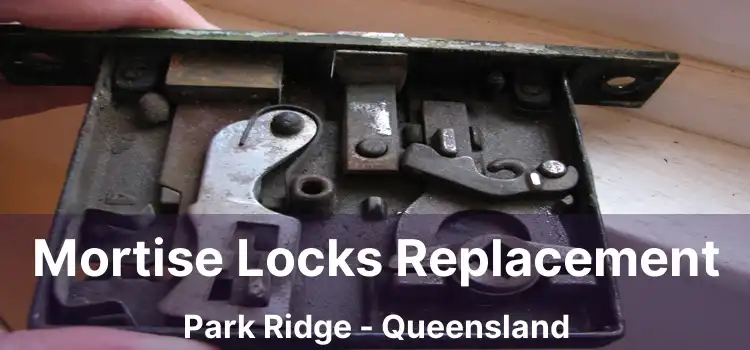Mortise Locks Replacement Park Ridge - Queensland