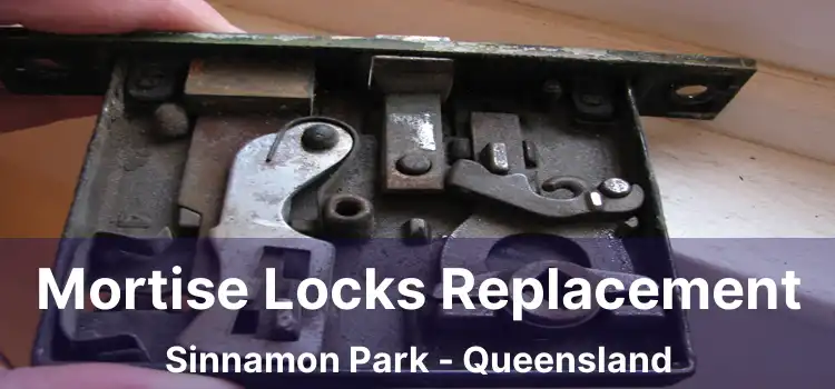 Mortise Locks Replacement Sinnamon Park - Queensland
