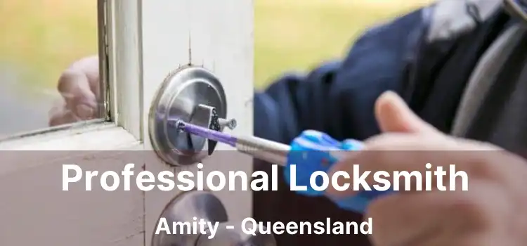 Professional Locksmith Amity - Queensland