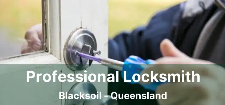 Professional Locksmith Blacksoil - Queensland
