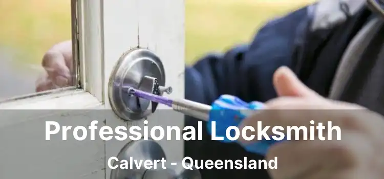 Professional Locksmith Calvert - Queensland