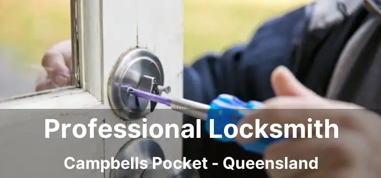 Professional Locksmith Campbells Pocket - Queensland