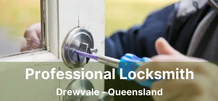 Professional Locksmith Drewvale - Queensland