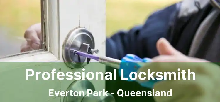 Professional Locksmith Everton Park - Queensland