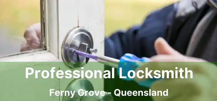 Professional Locksmith Ferny Grove - Queensland