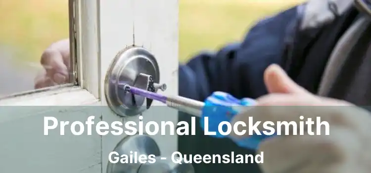 Professional Locksmith Gailes - Queensland