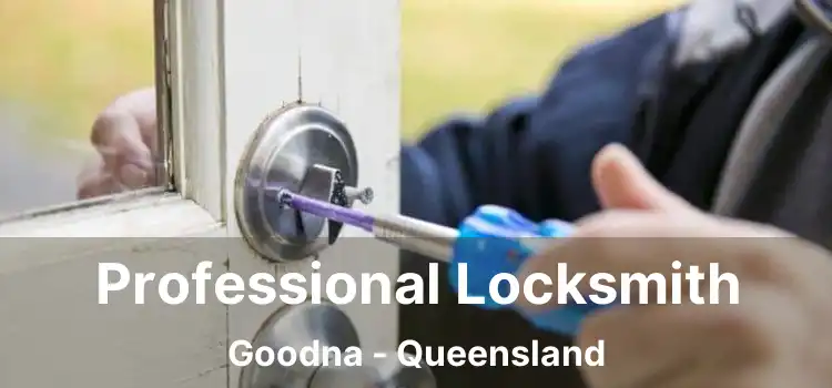 Professional Locksmith Goodna - Queensland