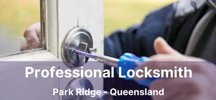 Professional Locksmith Park Ridge - Queensland