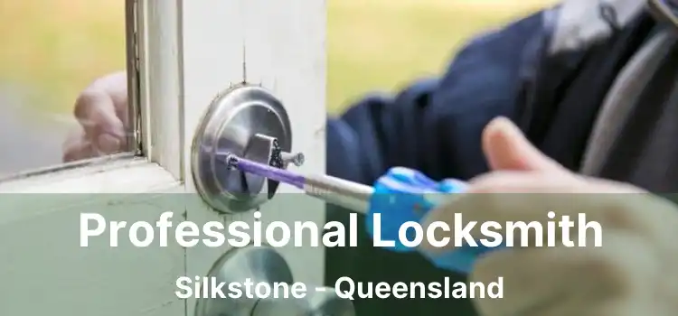 Professional Locksmith Silkstone - Queensland