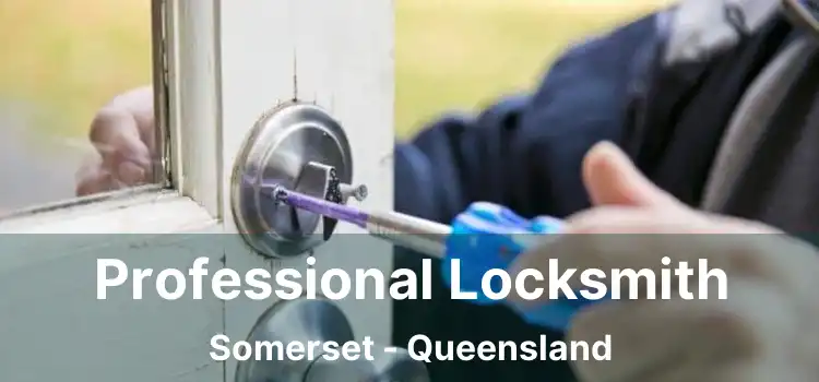 Professional Locksmith Somerset - Queensland