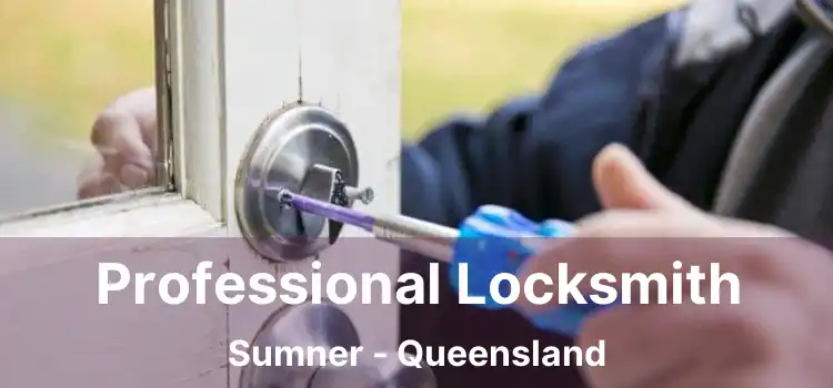 Professional Locksmith Sumner - Queensland
