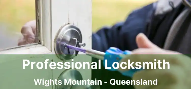 Professional Locksmith Wights Mountain - Queensland