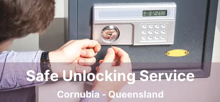 Safe Unlocking Service Cornubia - Queensland
