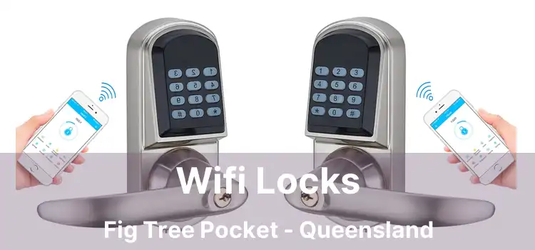 Wifi Locks Fig Tree Pocket - Queensland
