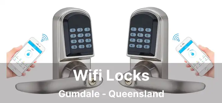 Wifi Locks Gumdale - Queensland