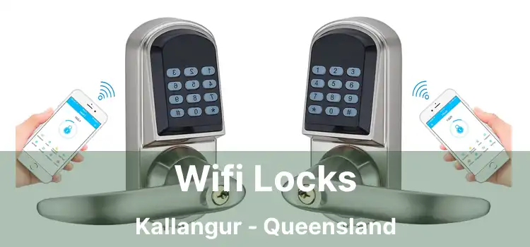 Wifi Locks Kallangur - Queensland